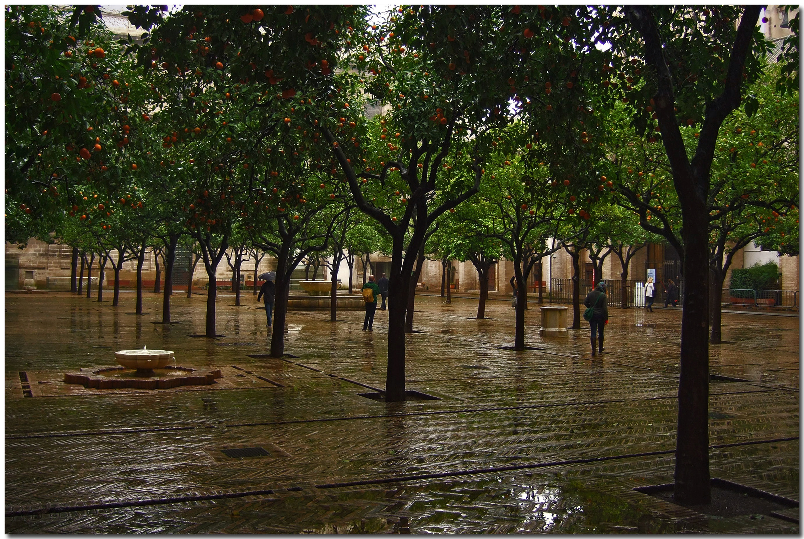 La lluvia, en Sevilla, es una maravilla (para Chaíto)