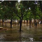 La lluvia, en Sevilla, es una maravilla (para Chaíto)