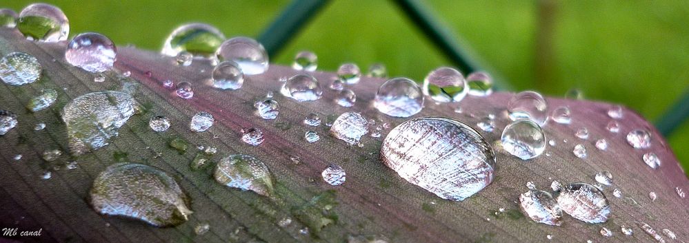 ¿La lluvia es arte?