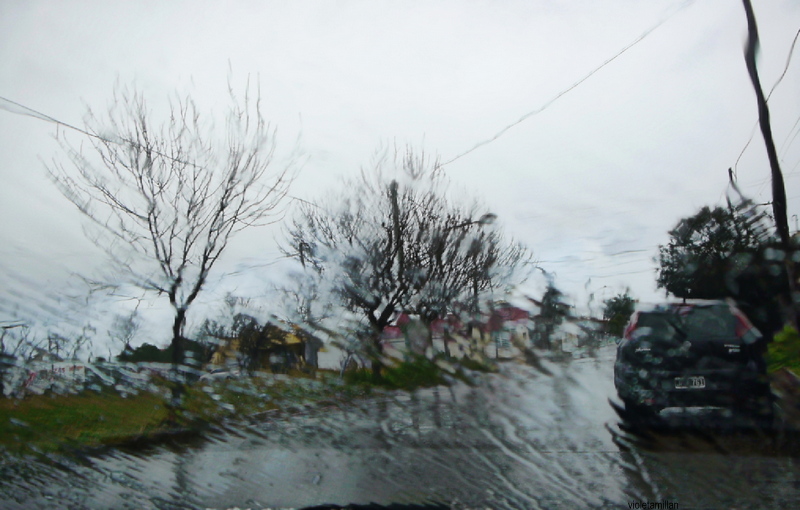 LA LLUVIA TRAS EL VIDRIO