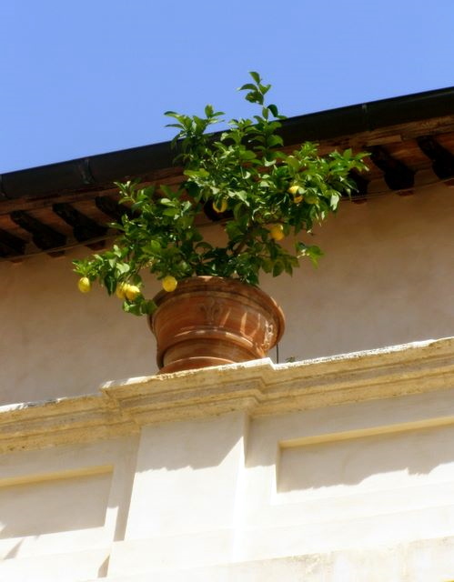 La loggia de la Villa d'Este (Tivoli - Italie)