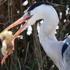 la loi de la nature