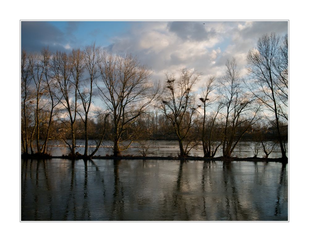 La Loire 7