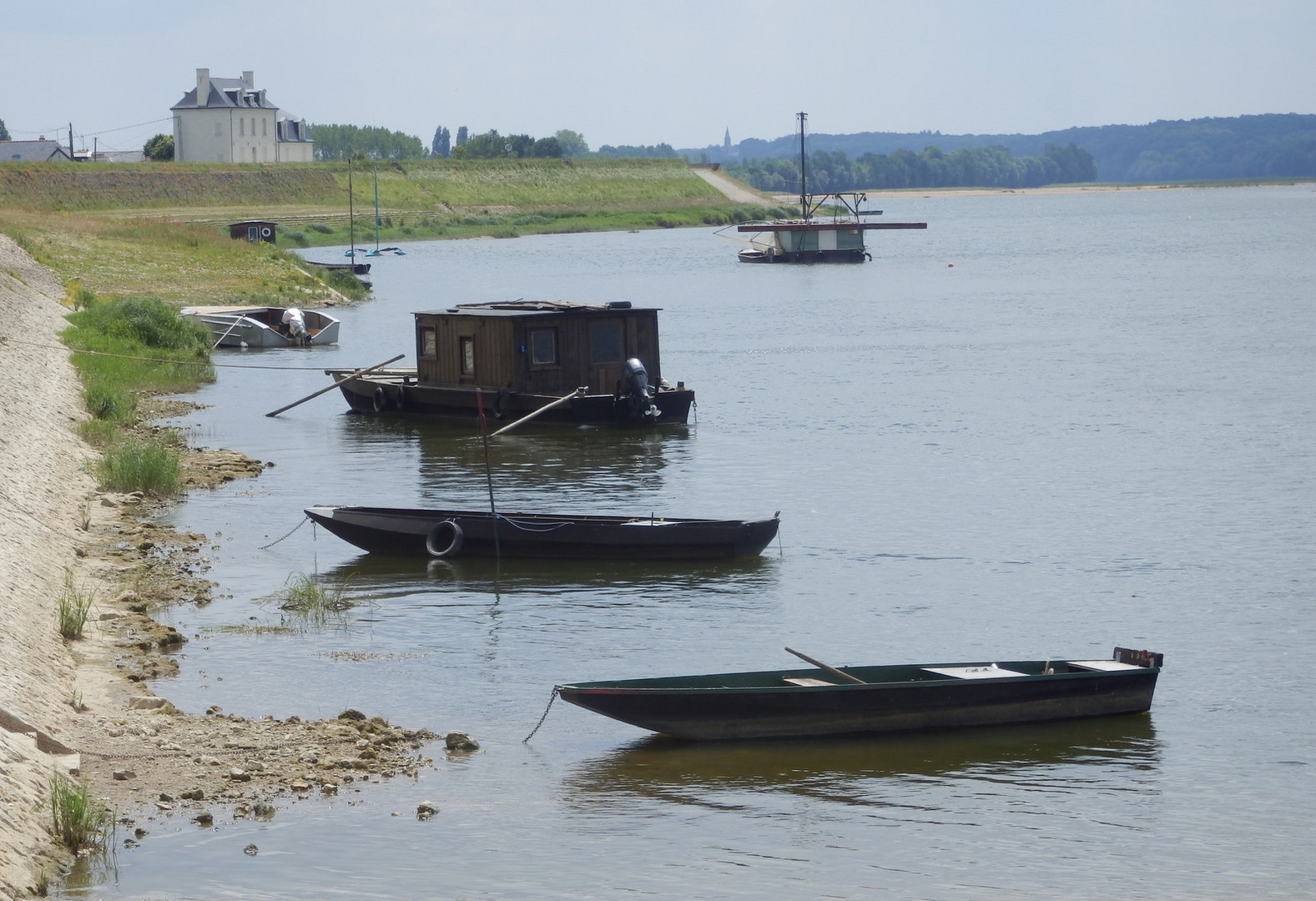 La Loire à la Ménitré (Maine-et-Loire).