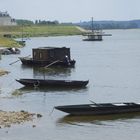 La Loire à la Ménitré (Maine-et-Loire).