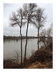 La Loire à Saint Ay