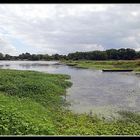 La Loire ... au fil de l'eau !