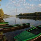 la Loire aux Rosiers sur Loire 2