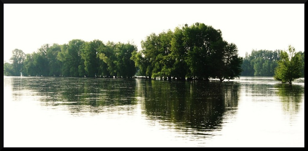 La Loire