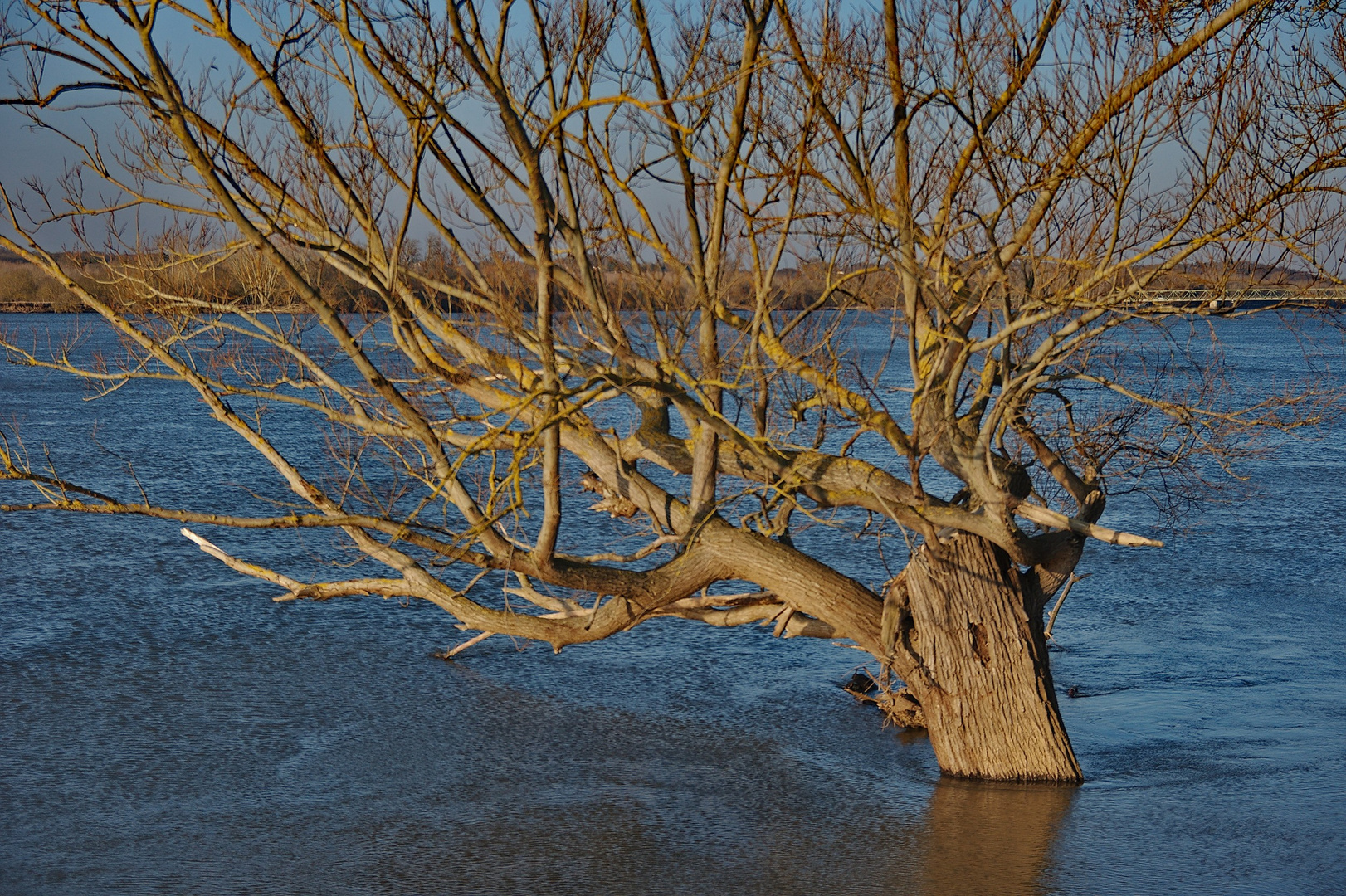 la Loire en crue