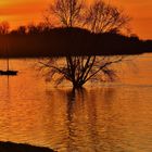 La Loire en feu......