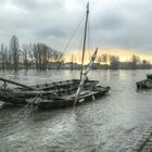 La Loire en hiver