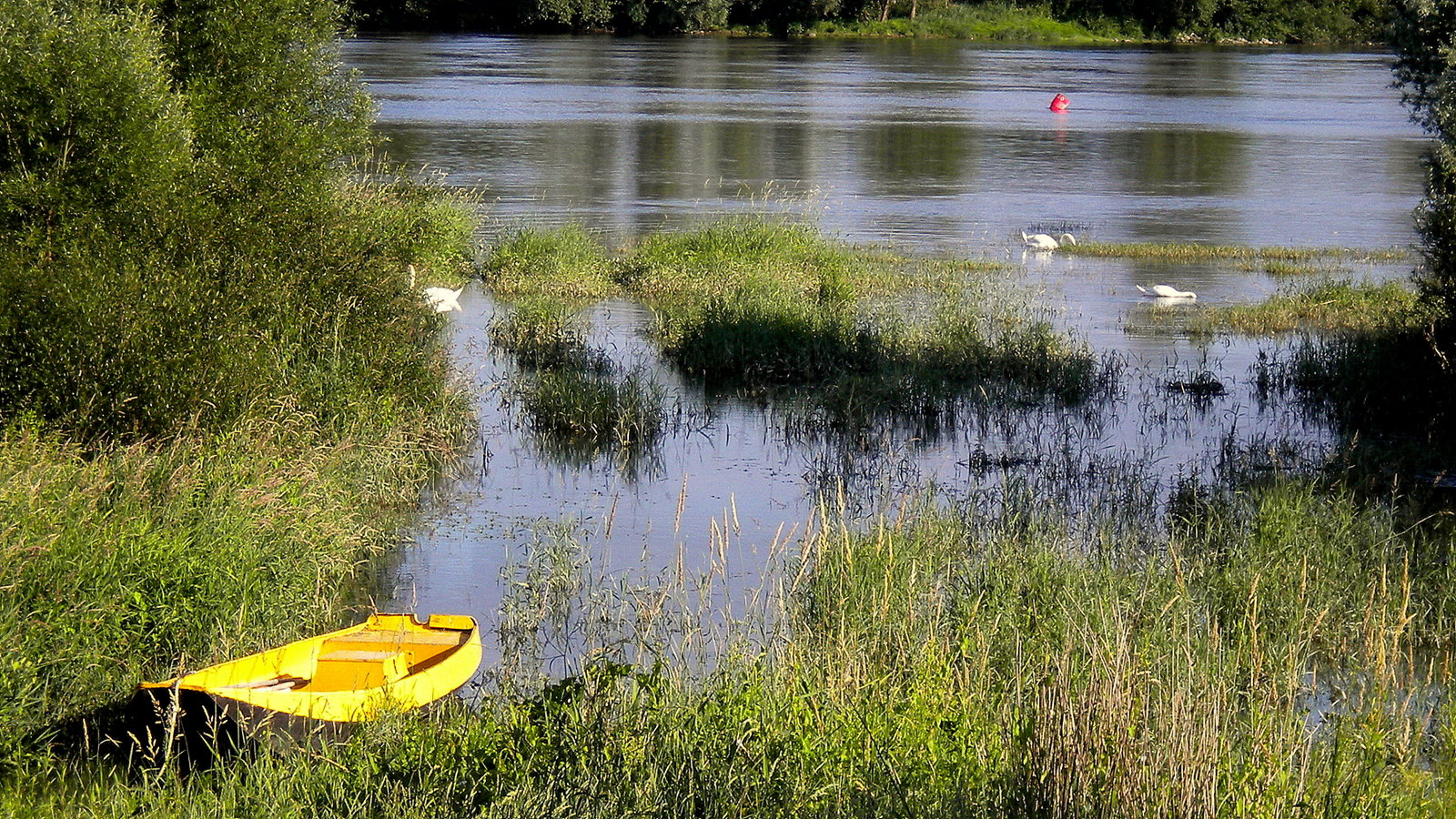 La Loire est en crue !