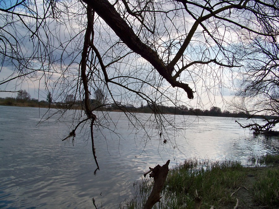 La Loire