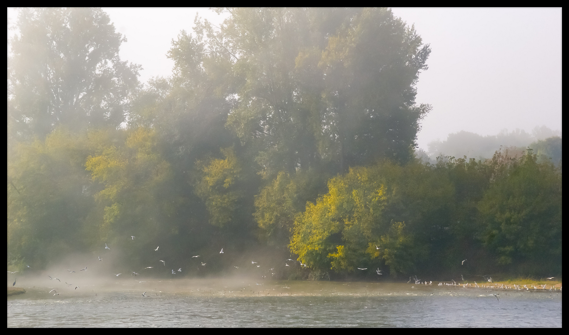 La Loire féerique 