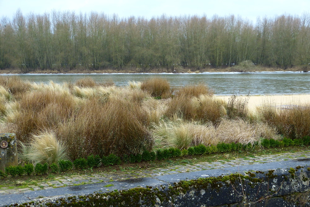 La Loire : La rive sauvage