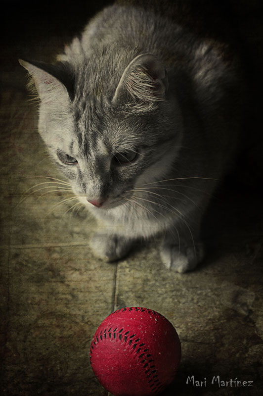 La Lola y su pelota