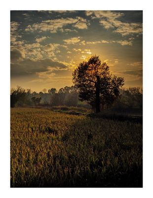 La luce calda del tramonto