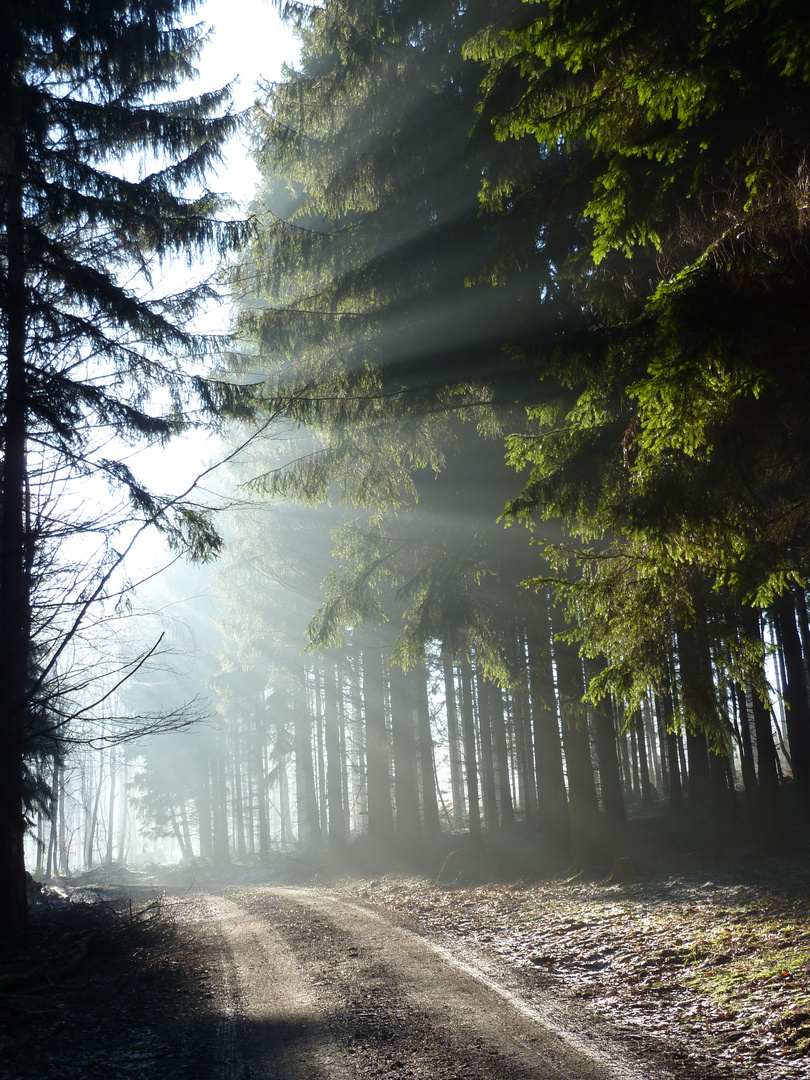 La luce del sole