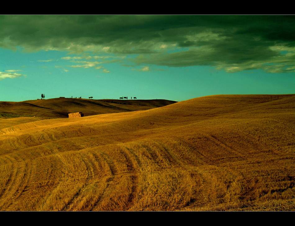 la luce della sierra