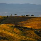 ~ La luce della Toscana ~