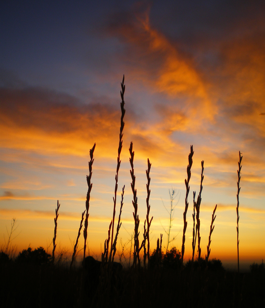 La luce dell'alba scaccia la tenebra dell'anima  