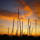 La luce dell'alba scaccia la tenebra dell'anima  