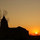 la luce fà vedere anche il nero