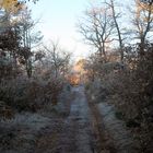 la lumière au bout du chemin