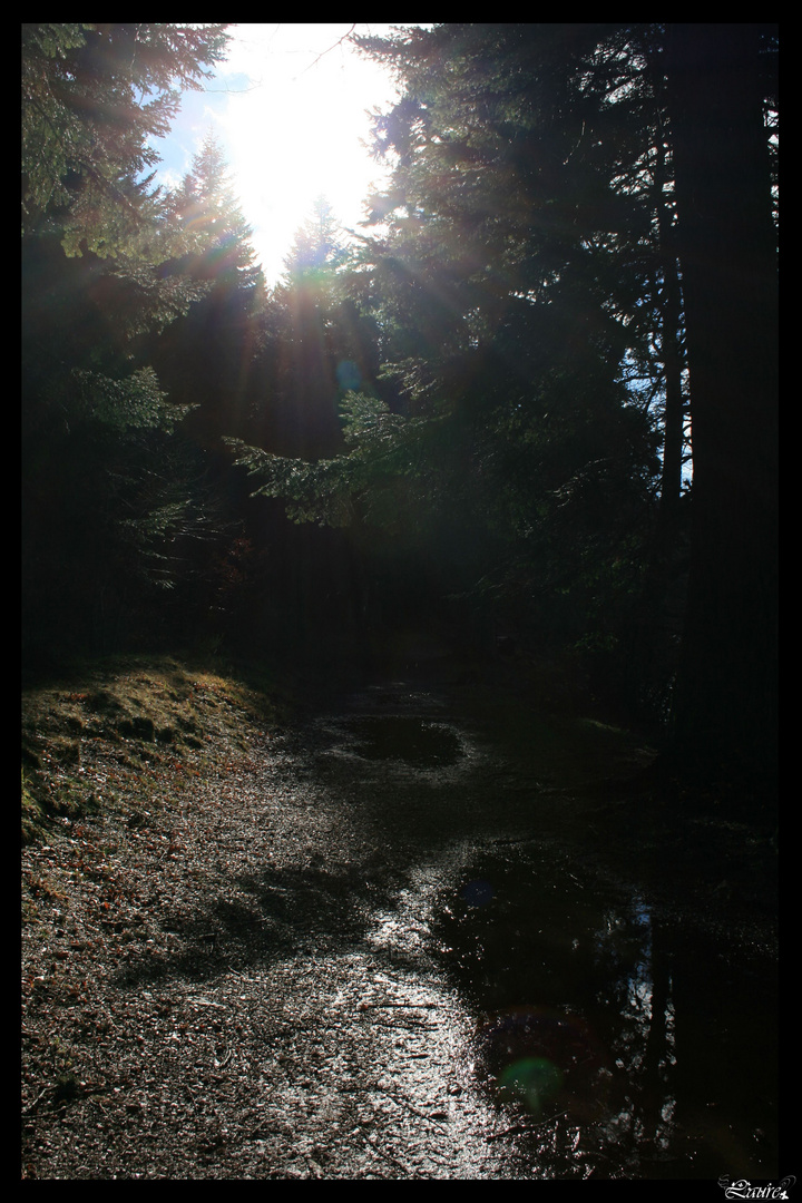 La lumière au bout du chemin