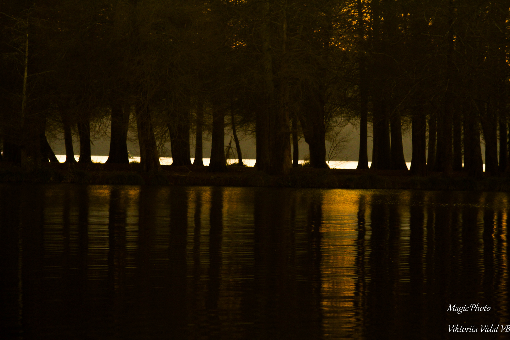 la lumière dans le lac Soustons