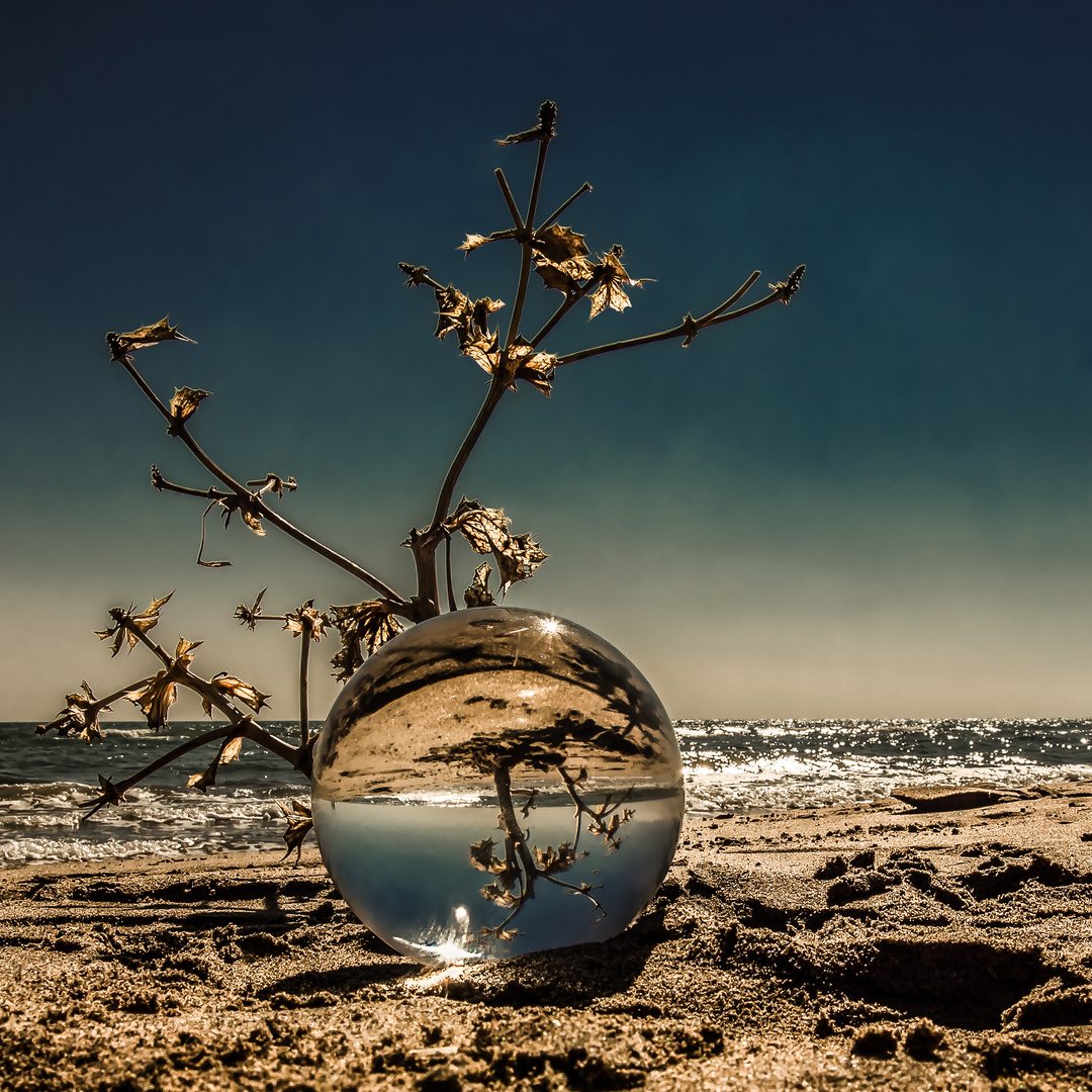 La lumière de la plage