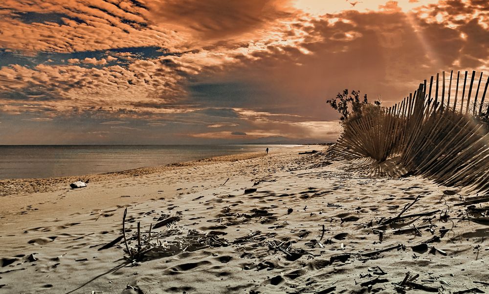 la lumière de la plage déserte