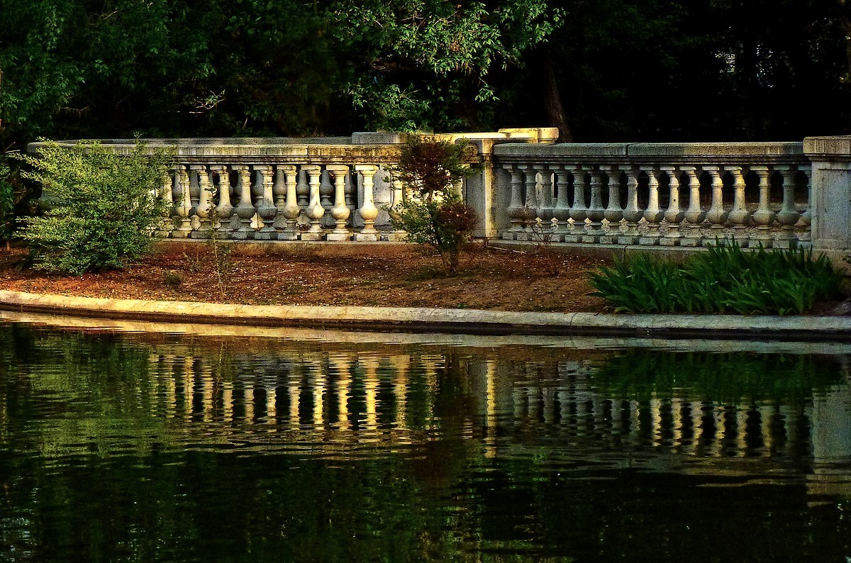 la lumière du jardin