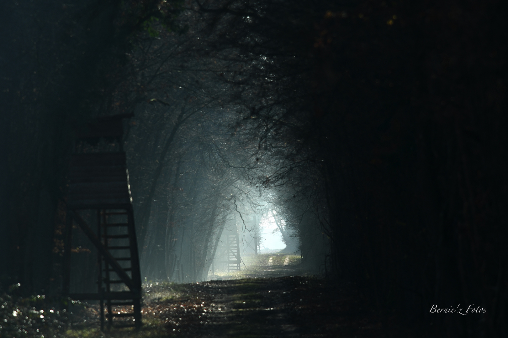 La lumière est au bout du tunnel