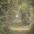 La lumière est au bout du tunnel