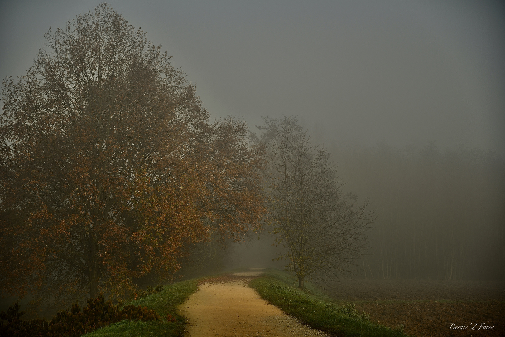 La lumière est sur le chemin