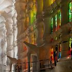 La lumière filtrée par les vitraux de la Sagrada Familia