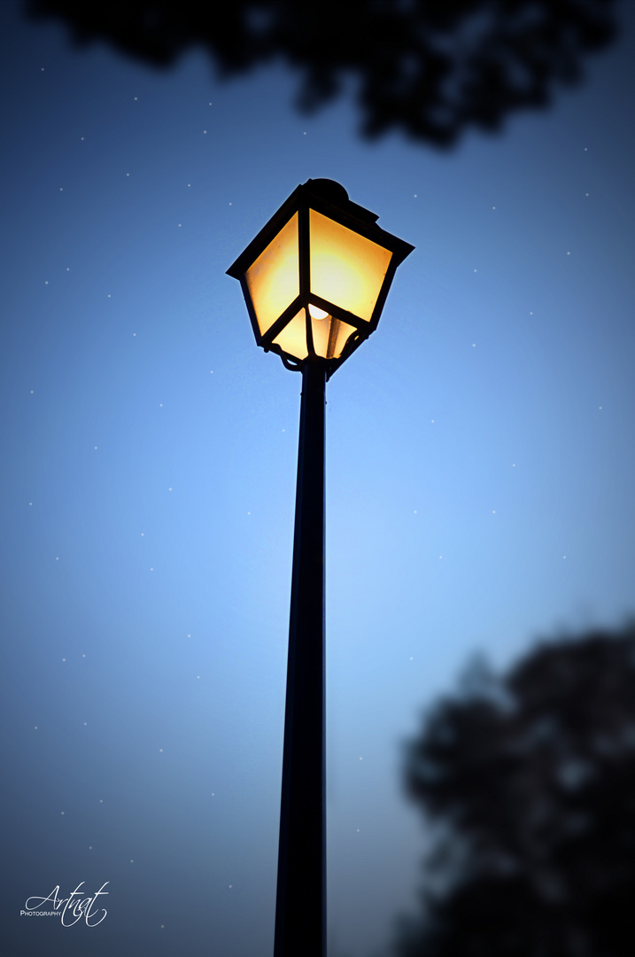 La lumière sous un ciel étoilés