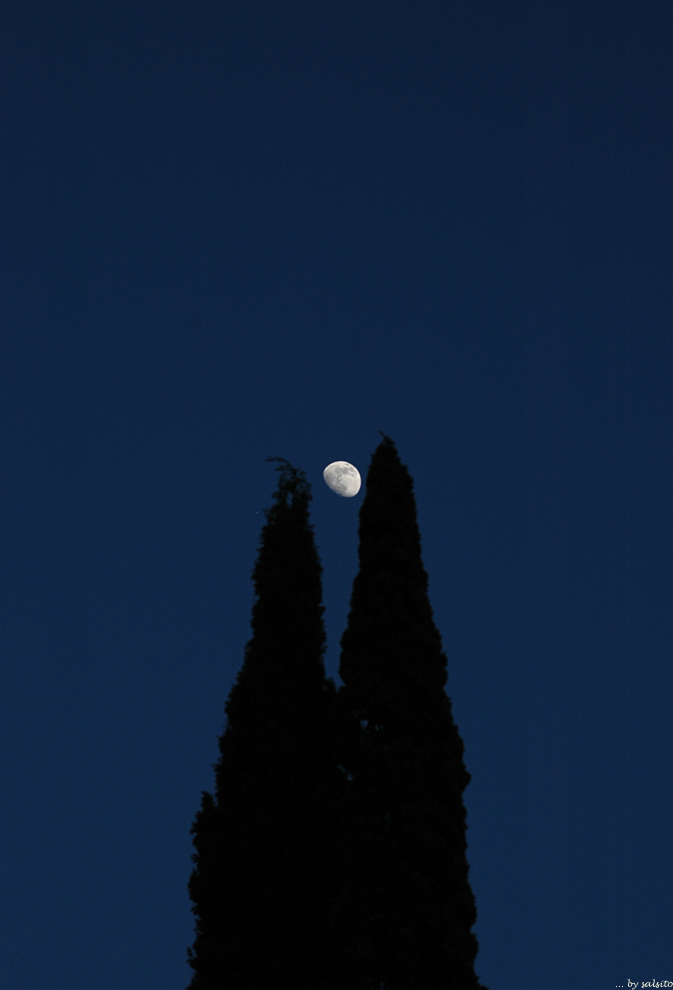 La luna #1