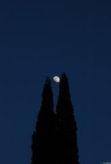 La luna #1