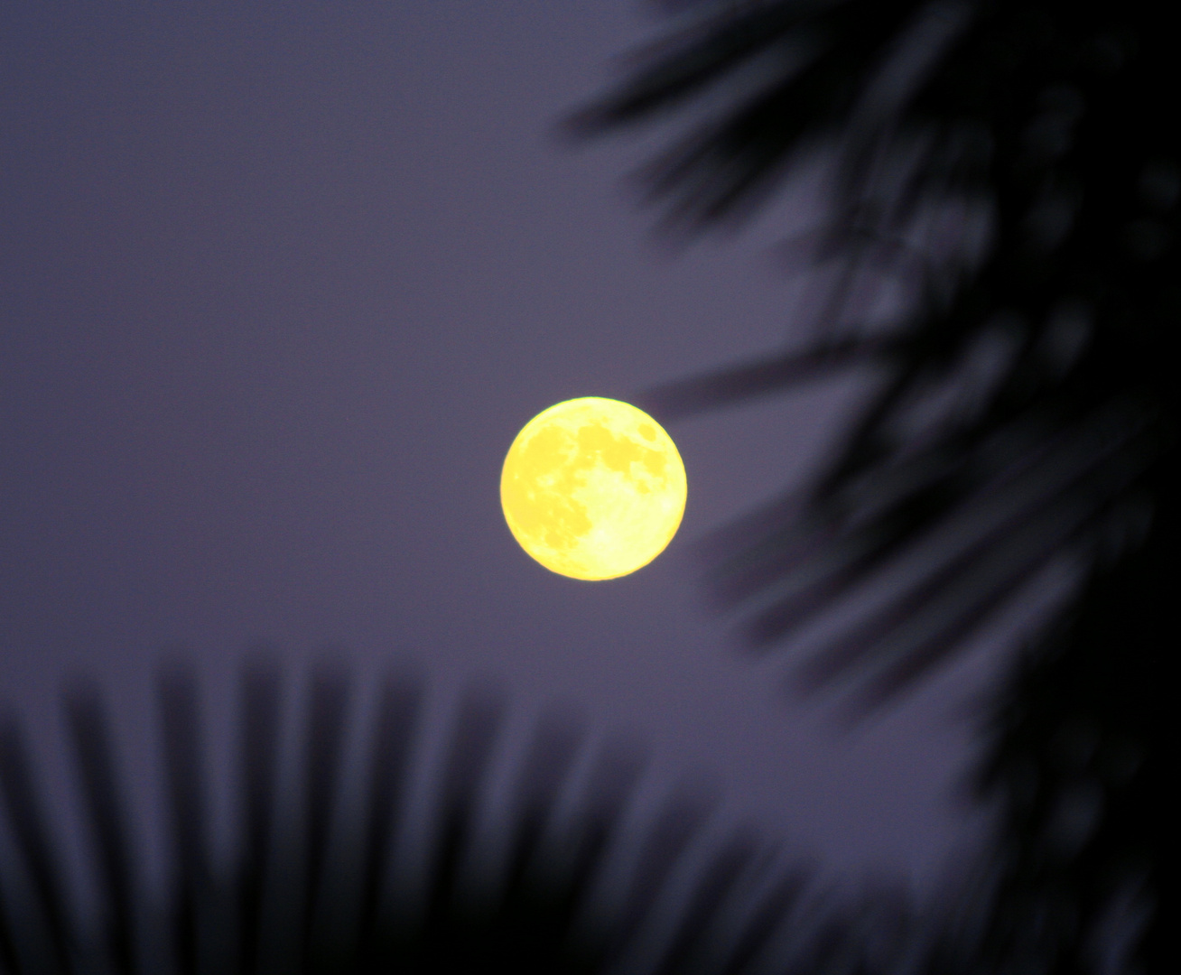 La Luna a modo mio