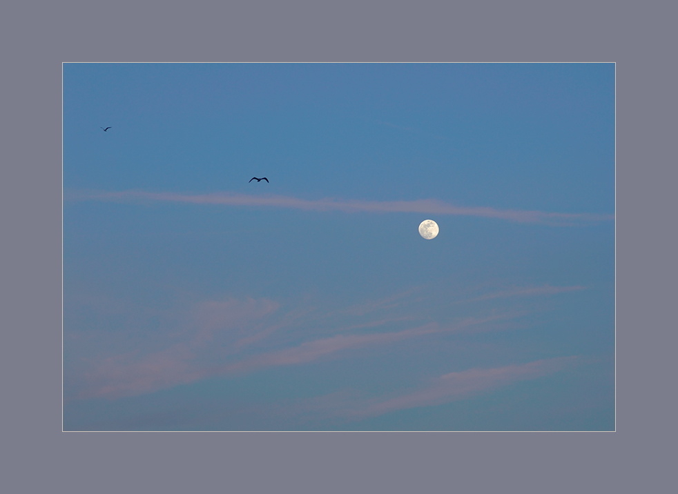 la luna al tramonto