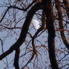 *La Luna*