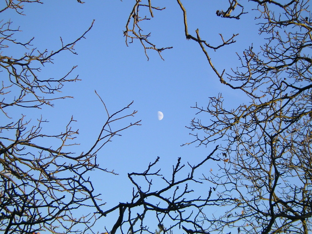 La luna ciglionese