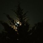 la luna da casa mia