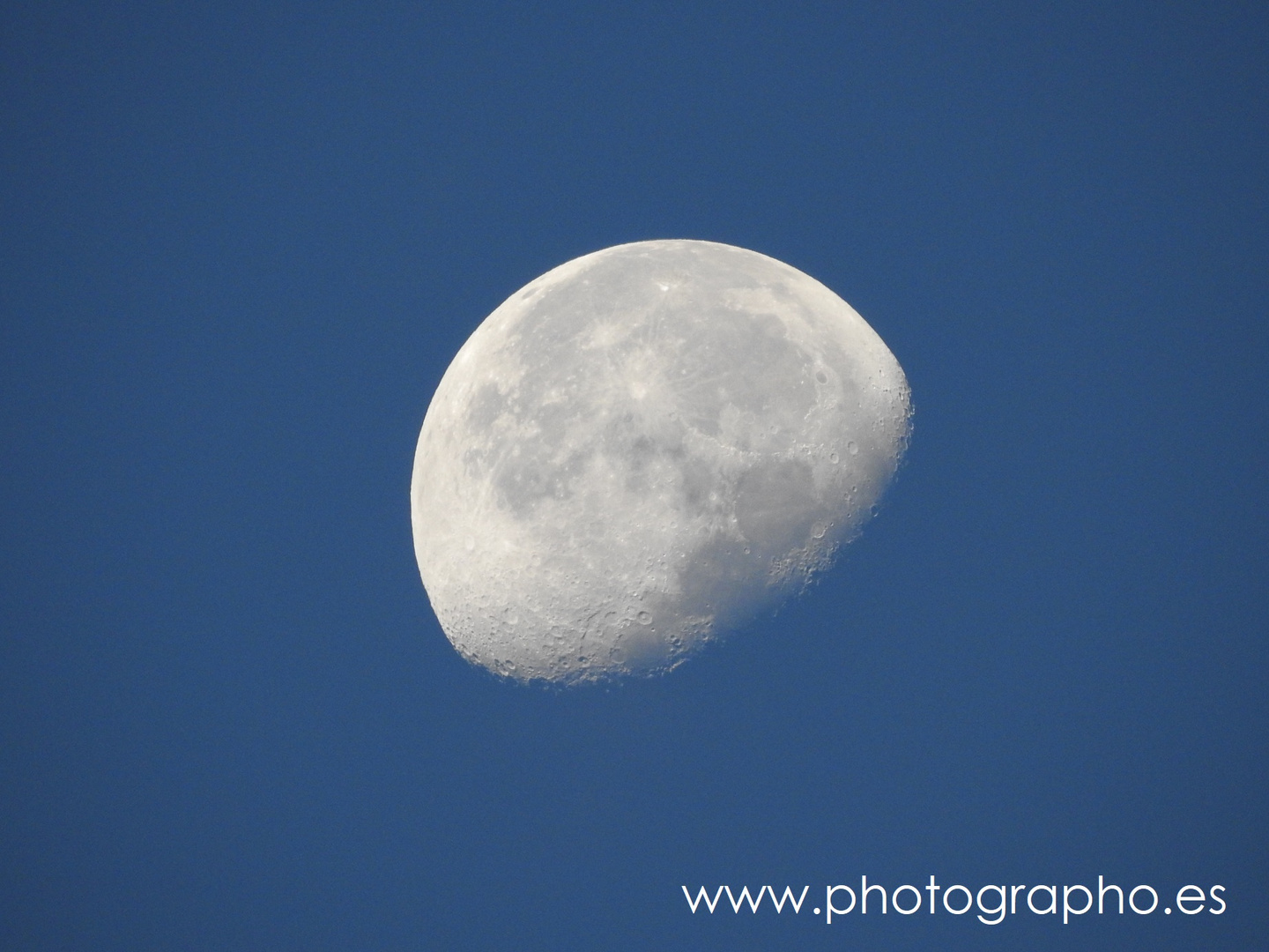 La luna (de Valencia)