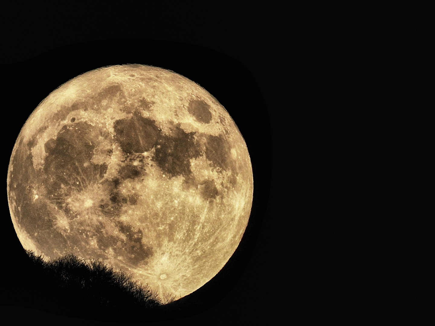 La luna del 14 novembre 2016