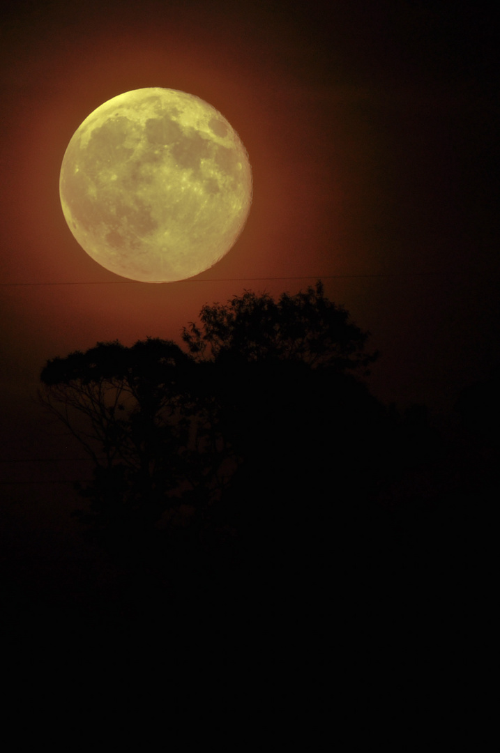 La luna di Agosto