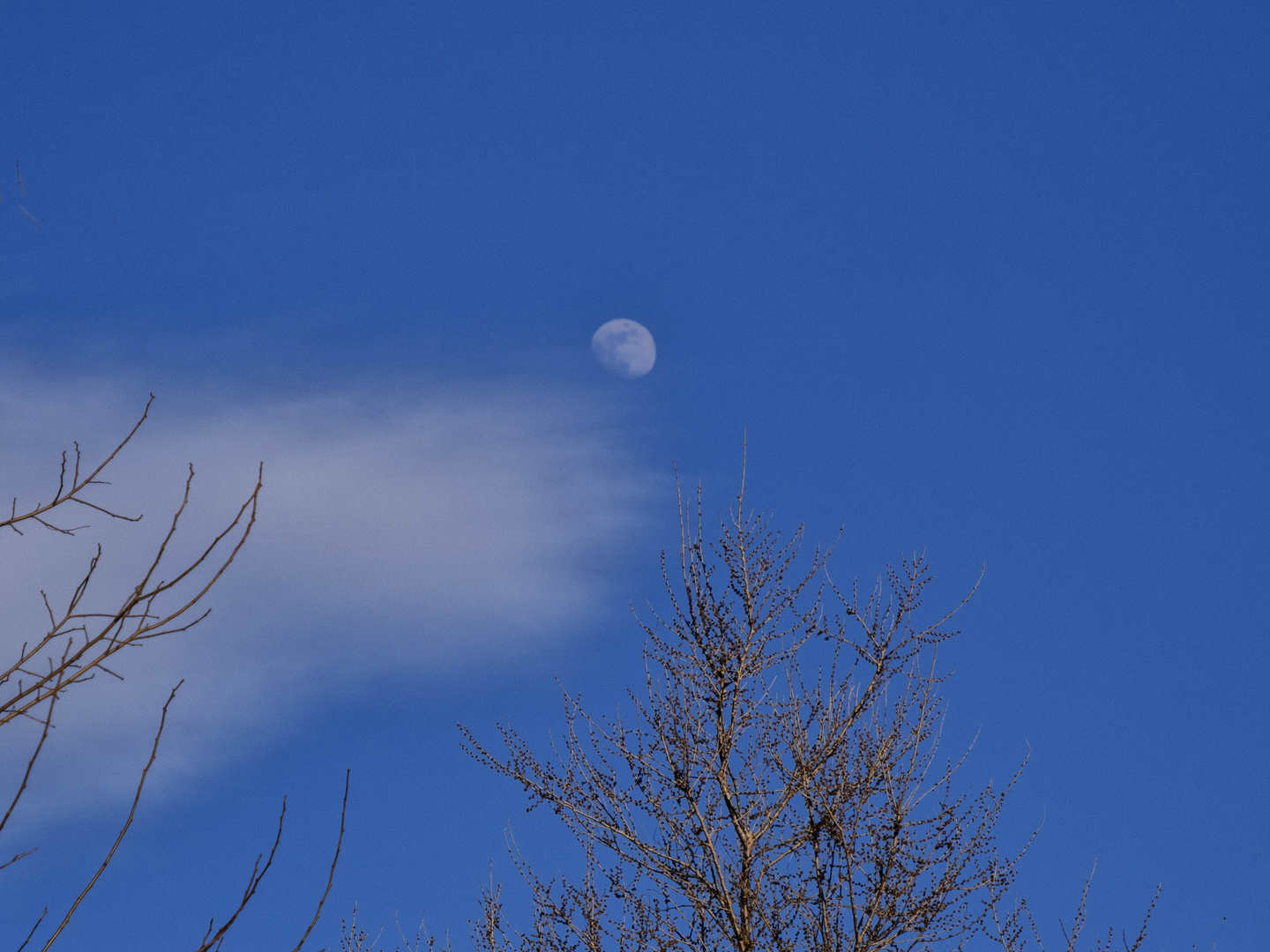 La luna e la nuvola